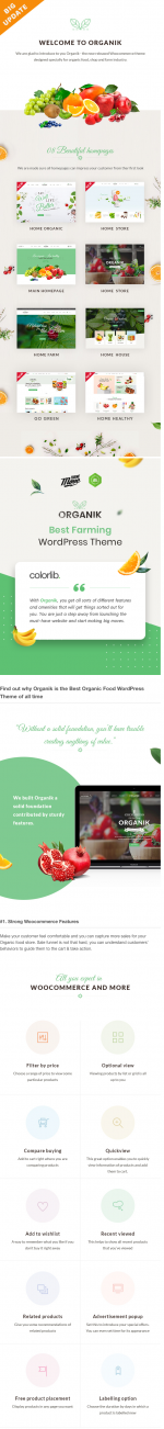 Screenshot 2024-03-24 at 11-53-22 Organik - Organic Food Store WordPress Theme.png