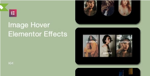 Screenshot 2024-03-28 at 20-04-14 Image Hover Elements for Elementor.png