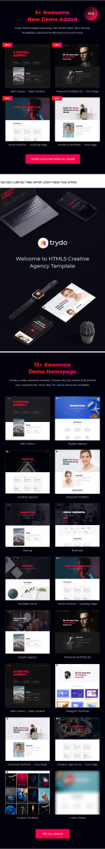 Screenshot 2024-04-02 at 16-41-01 Trydo - Agency and Portfolio Template.png