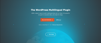 Screenshot 2024-04-03 at 12-28-14 WPML - The WordPress Multilingual Plugin.png Screenshot 2024-04-03 at 12-28-14 WPML - The WordPress Multilingual Plugin.png