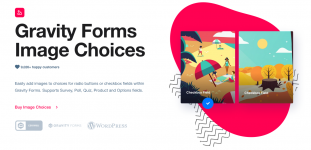 Screenshot 2024-04-06 at 17-12-20 Gravity Forms Image Choices.png Screenshot 2024-04-06 at 17-12-20 Gravity Forms Image Choices.png