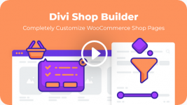 Screenshot 2024-04-06 at 17-49-07 Divi Shop Builder For WooCommerce.png