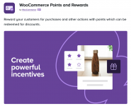 Screenshot 2024-04-07 at 15-44-39 WooCommerce Points and Rewards - WooCommerce Marketplace.png Screenshot 2024-04-07 at 15-44-39 WooCommerce Points and Rewards - WooCommerce Marketplace.png