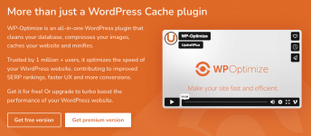 Screenshot 2024-04-18 at 16-53-18 WP-Optimize WordPress Performance Plugin - WP-Optimize.png Screenshot 2024-04-18 at 16-53-18 WP-Optimize WordPress Performance Plugin - WP-Optimize.png