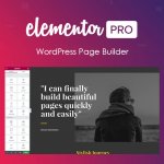 Elementor-PRO-WordPress-Page-Builders.jpg