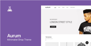 Screenshot 2024-04-21 at 17-18-01 Aurum - WordPress & WooCommerce Shopping Theme.png Screenshot 2024-04-21 at 17-18-01 Aurum - WordPress & WooCommerce Shopping Theme.png