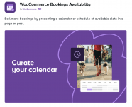 Screenshot 2024-04-26 at 16-06-18 WooCommerce Bookings Availability.png