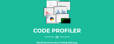 Screenshot 2024-05-02 at 17-00-09 Code Profiler WordPress Performance Profiling and Debugging ...png