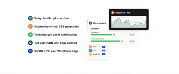 Screenshot 2024-05-03 at 09-25-22 Hummingbird Pro - Supercharge WordPress Performance - WPMU DEV.png