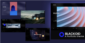 Screenshot 2024-05-03 at 13-05-47 Blackoid - Creative Portfolio Theme.png