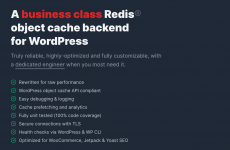 Screenshot 2024-05-12 at 11-25-11 Object Cache Pro for WordPress — Object Cache Pro for WordPr...png