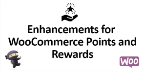 Screenshot 2024-05-14 at 17-24-56 Enhancements for WooCommerce Points and Rewards.png