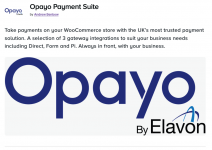 Screenshot 2024-05-14 at 17-41-30 Opayo Payment Suite.png