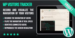 Screenshot 2024-05-16 at 15-40-08 WP Visitors Tracker.png