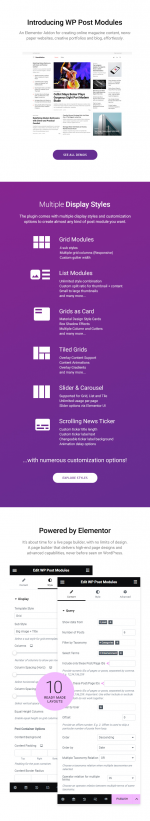 Screenshot 2024-05-20 at 16-21-27 WP Post Modules for NewsPaper and Magazine Layouts (Elemento...png