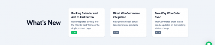 Screenshot 2024-05-21 at 15-49-21 WordPress booking plugin for Elementor and Gutenberg — JetBo...png