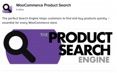 Screenshot 2024-05-24 at 15-09-33 WooCommerce Product Search.png Screenshot 2024-05-24 at 15-09-33 WooCommerce Product Search.png