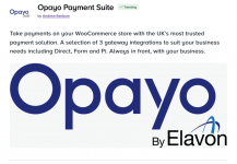 Screenshot 2024-05-28 at 18-18-30 Opayo Payment Suite.png