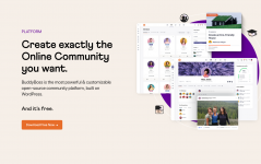 Screenshot 2024-06-01 at 14-18-38 Create exactly the Online Community you want. BuddyBoss.png Screenshot 2024-06-01 at 14-18-38 Create exactly the Online Community you want. BuddyBoss.png