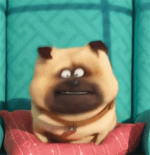 下载.png