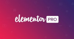 elementor_pro.jpg elementor_pro.jpg