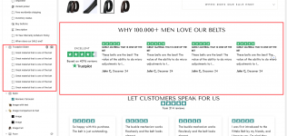trustpilot section.png