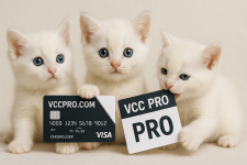 pro vcc.png pro vcc.png
