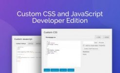 Custom_CSS_and_JavaScript_Developer_Edition-300x183.jpg Custom_CSS_and_JavaScript_Developer_Edition-300x183.jpg