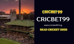 cricbet blog 3.jpg
