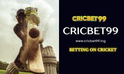 cricbet blog 4.jpg
