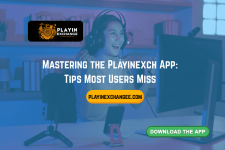 playinexch .png playinexch .png