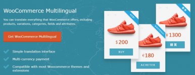 WPML WooCommerce Multilingual Addon.jpg WPML WooCommerce Multilingual Addon.jpg