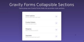 gravity-forms-collapsible-sections.jpg gravity-forms-collapsible-sections.jpg