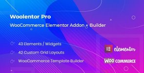 WooLentor Pro.jpg