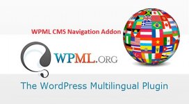 WPML CMS Navigation Addon.jpg WPML CMS Navigation Addon.jpg