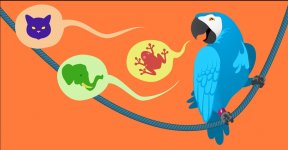 WPML Seo Yoast.jpg WPML Seo Yoast.jpg