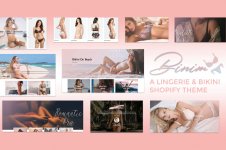 Download Binim - Lingerie & Bikini Responsive Shopify Original Themeforest 25695706.jpg