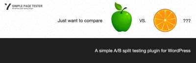 1582790031_simple-page-tester-premium.jpg
