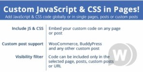 1564561521_wp-js-css-everywhere.jpg