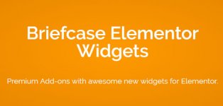 briefcase-elementor-widgets-v1-8-2_60f54fe30e155.jpeg briefcase-elementor-widgets-v1-8-2_60f54fe30e155.jpeg