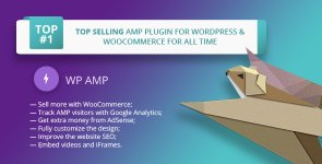 1544854118_wpamp.jpg