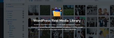WordPress-Real-Media-Library.jpg WordPress-Real-Media-Library.jpg
