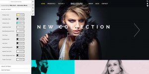 10-front-end-customizer.jpg 10-front-end-customizer.jpg