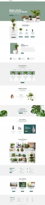 global-kit-styles.jpg global-kit-styles.jpg