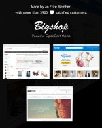 bigshop-free-download1.jpg