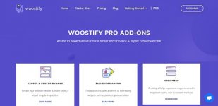 woostify-fast-lightweight-responsive-and-super-flexible-woocommerce-theme-pro-addon.jpg woostify-fast-lightweight-responsive-and-super-flexible-woocommerce-theme-pro-addon.jpg