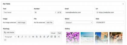 features-ACF-Advanced-Custom-Fields-Pro-Plugin.jpg features-ACF-Advanced-Custom-Fields-Pro-Plugin.jpg