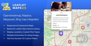 1646124728_wp-leaflet-maps-pro.jpg