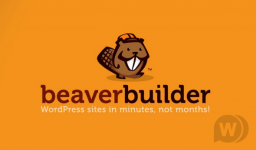 Beaver Builder Pro v2.4.2.3 - Copia.png