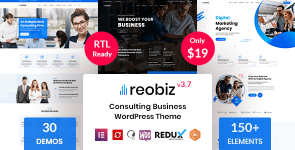 Download-Reobiz-–-Consulting-Business-WordPress-Theme-Best-Themes.png